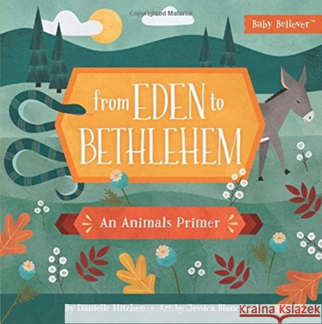 From Eden to Bethlehem: An Animals Primer Danielle Hitchen Jessica Blanchard 9780736972383 Harvest House Publishers