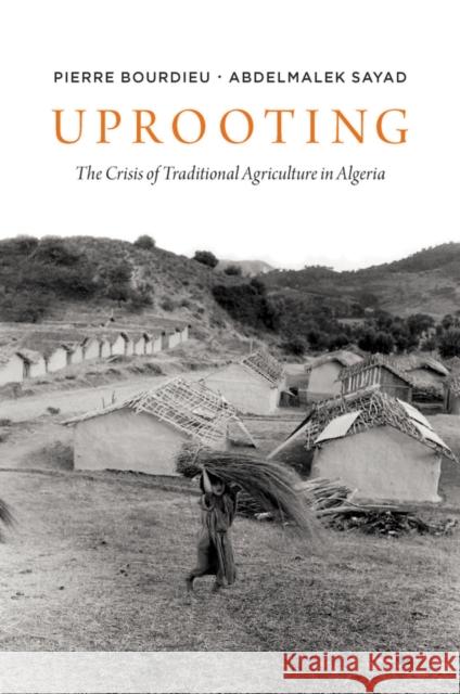 Uprooting: The Crisis of Traditional Algriculture in Algeria Bourdieu, Pierre 9780745623542