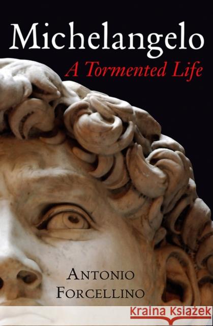 Michelangelo: A Tormented Life Forcellino, Antonio 9780745640068