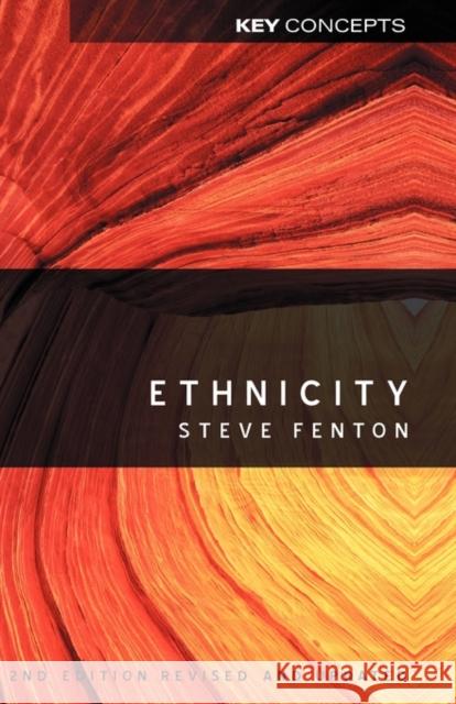 Ethnicity Steve Fenton 9780745642659