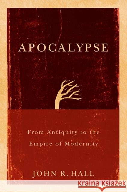 Apocalypse: From Antiquity to the Empire of Modernity Hall, John R. 9780745645094 Polity Press