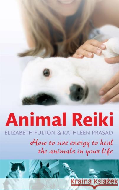 Animal Reiki: How to use energy to heal the animals in your life Kathleen Prasad 9780749952808
