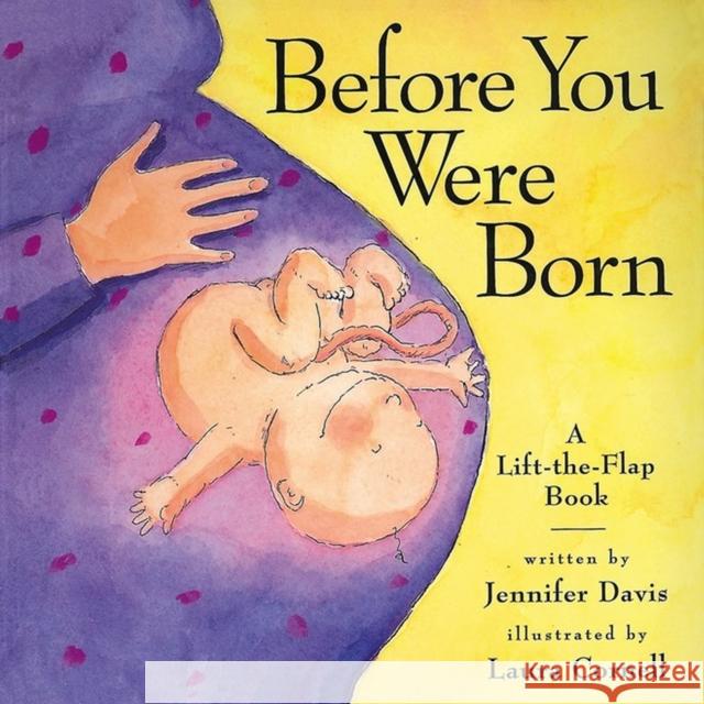 Before You Were Born Jennifer Davis Laura Cornell Jennifer Davis 9780761112006 Workman Publishing