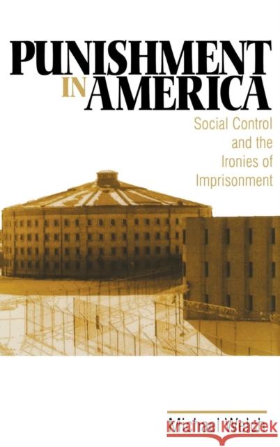 Punishment in America: Social Control and the Ironies of Imprisonment Welch, Michael 9780761910831