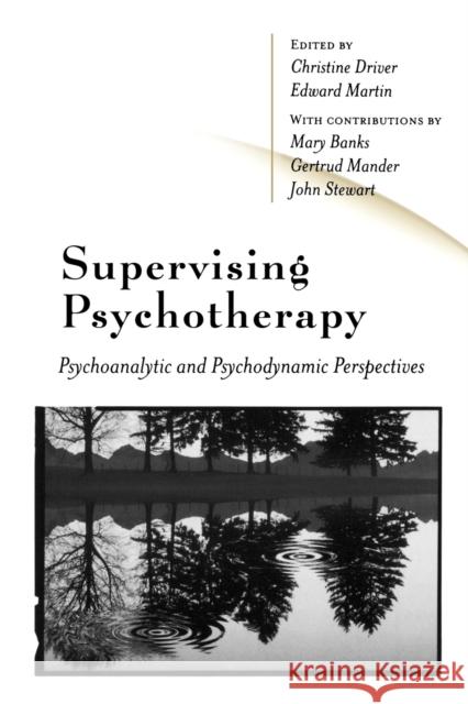 Supervising Psychotherapy: Psychoanalytic and Psychodynamic Perspectives Martin, Edward 9780761968719