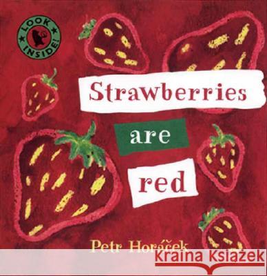 Strawberries Are Red Petr Horacek Pete Horacek Petr Horacek 9780763614614 Candlewick Press (MA)