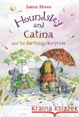 Houndsley and Catina and the Birthday Surprise: Candlewick Sparks James Howe Marie-Louise Gay 9780763624057 Candlewick Press (MA)