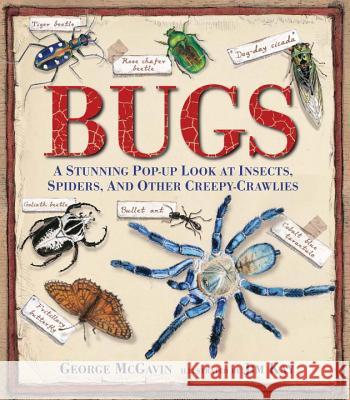 Bugs: A Stunning Pop-Up Look at Insects, Spiders, and Other Creepy-Crawlies George McGavin Jim Kay 9780763667627 Candlewick Press (MA)