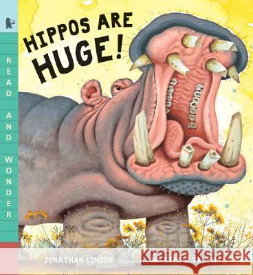 Hippos Are Huge! Jonathan London Matthew Trueman 9780763679521 Candlewick Press (MA)