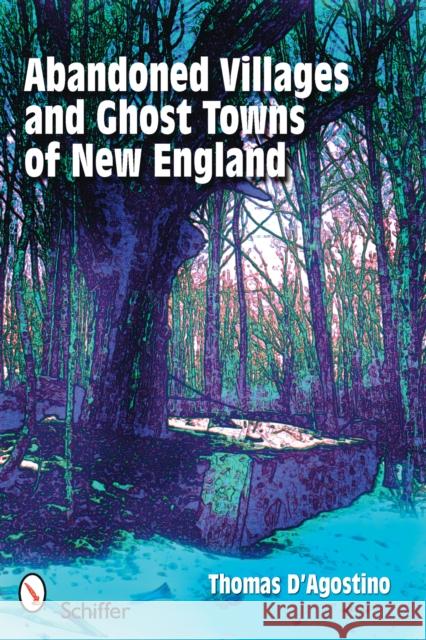 Abandoned Villages and Ghost Towns of New England Thomas D'Agostino 9780764330766 Schiffer Publishing