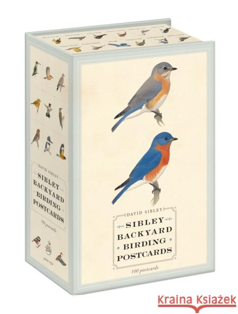 Sibley Backyard Birding Postcards: 100 Postcards Sibley, David 9780770433963