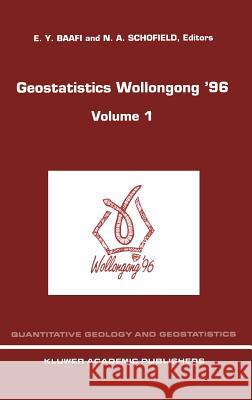 Geostatistics Wollongong' 96: Volume 2 Baafi, E. y. 9780792344964 Kluwer Academic Publishers