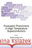 Fluctuation Phenomena in High Temperature Superconductors Marcel Ausloos M. Ausloos Andrei A. Varlamov 9780792345756