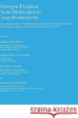 Nitrogen Fixation: From Molecules to Crop Productivity: Proceedings of the 12th International Congress on Nitrogen Fixation, Foz Do Iguaçu, Paraná, Br Pedrosa, Fabio O. 9780792362333 Kluwer Academic Publishers