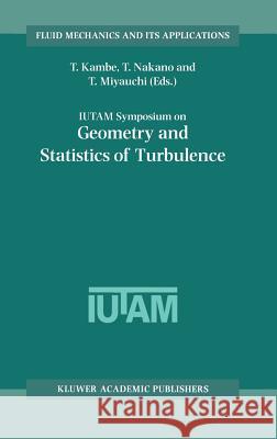 Iutam Symposium on Geometry and Statistics of Turbulence: Proceedings of the Iutam Symposium Held at the Shonan International Village Center, Hayama ( Kambe, T. 9780792367116 Springer Netherlands