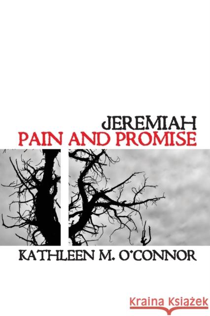 Jeremiah: Pain and Promise O'Connor, Kathleen M. 9780800699307 Augsburg Fortress Publishers