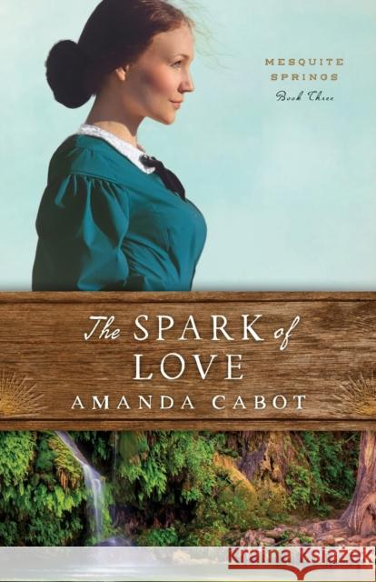 The Spark of Love Amanda Cabot 9780800735371 Fleming H. Revell Company