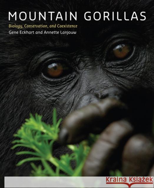 Mountain Gorillas: Biology, Conservation, and Coexistence Eckhart, Gene 9780801890116 Johns Hopkins University Press