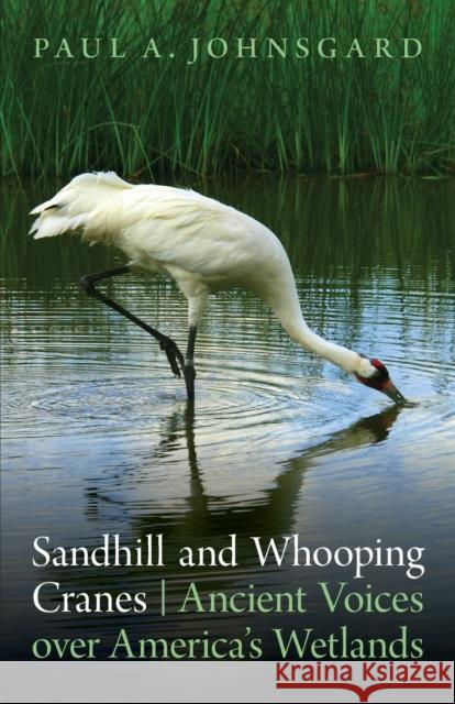 Sandhill and Whooping Cranes: Ancient Voices Over America's Wetlands Johnsgard, Paul A. 9780803234963 Bison Books