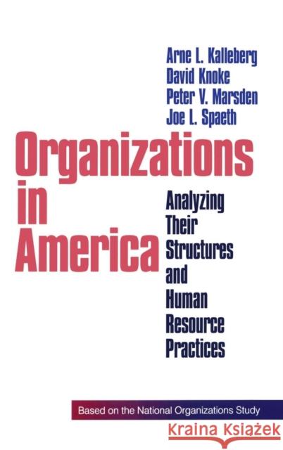 Organizations in America: Analysing Their Structures and Human Resource Practices Kalleberg, Arne L. 9780803958159