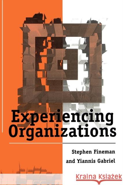 Experiencing Organizations Stephen Fineman Yiannis Gabriel 9780803978713 Sage Publications