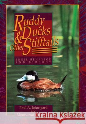 Ruddy Ducks and Other Stifftails: Their Behavior and Biology Paul A. Johnsgard Montserrat Carbonell 9780806141664 University of Oklahoma Press