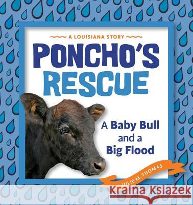 Poncho's Rescue: A Baby Bull and a Big Flood Julie M. Thomas 9780807169391 Louisiana State University Press