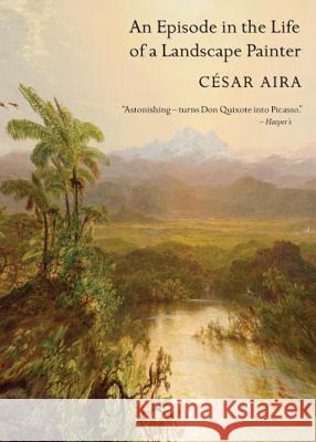 An Episode in the Life of a Landscape Painter Cesar Aira Chris Andrews Roberto Bolano 9780811216302