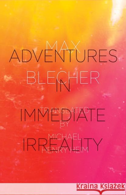 Adventures in Immediate Irreality Max Blecher Michael Henry Heim 9780811217606