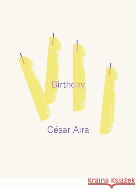 Birthday Cesar Aira Chris Andrews 9780811219099