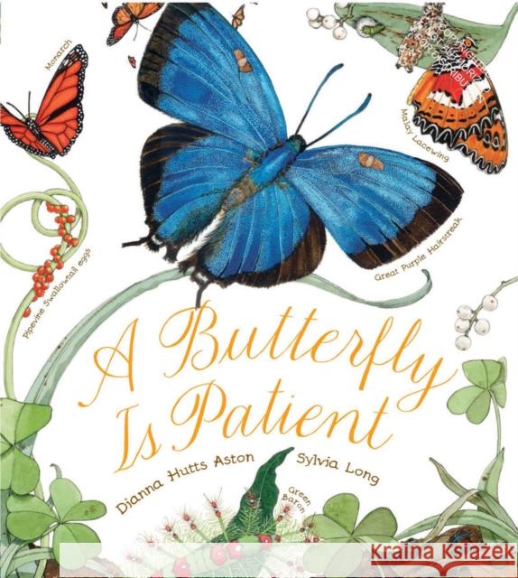 Butterfly Is Patient Dianna Hutts Aston 9780811864794 Chronicle Books