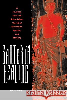 Santería Healing: A Journey Into the Afro-Cuban World of Divinities, Spirits, and Sorcery Wedel, Johan 9780813030517 University Press of Florida