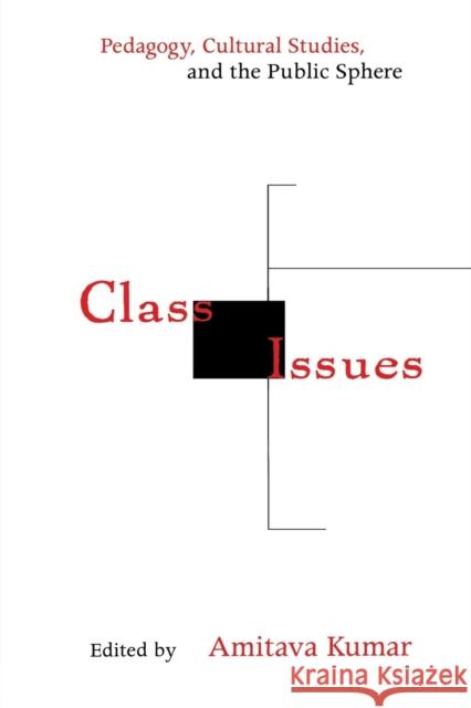 Class Issues: Pedagogy, Cultural Studies, and the Public Sphere Kumar, Amitava 9780814746974 New York University Press
