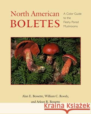 North American Boletes: A Color Guide to the Fleshy Pored Mushrooms Bessette, Alan 9780815605881