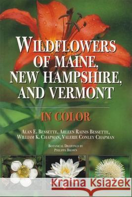 Wildflowers of Maine, New Hampshire, and Vermont Bessette, Alan 9780815628033