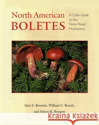 North American Boletes: A Color Guide to the Fleshy Pored Mushrooms Bessette, Alan 9780815632443