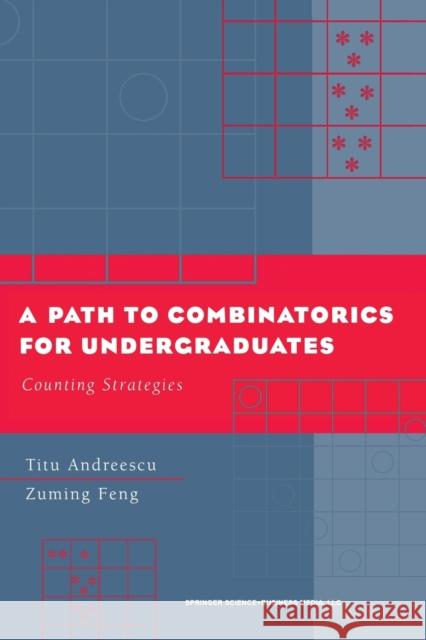 A Path to Combinatorics for Undergraduates: Counting Strategies Andreescu, Titu 9780817642884 Birkhauser