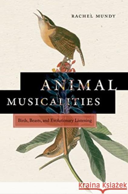 Animal Musicalities: Birds, Beasts, and Evolutionary Listening Rachel Mundy 9780819500861 Wesleyan University Press