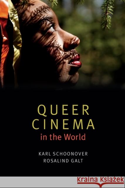 Queer Cinema in the World Karl Schoonover Rosalind Galt 9780822362616 Duke University Press