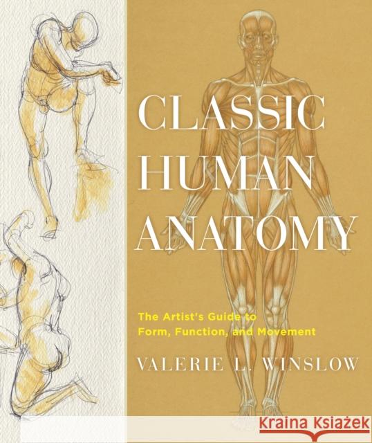 Classic Human Anatomy: The Artist's Guide to Form, Function, and Movement Winslow, Valerie L. 9780823024155 Watson-Guptill Publications