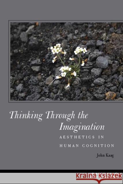Thinking Through the Imagination: Aesthetics in Human Cognition Kaag, John 9780823254934 Fordham University Press