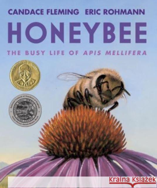 Honeybee: The Busy Life of APIs Mellifera Fleming, Candace 9780823451166
