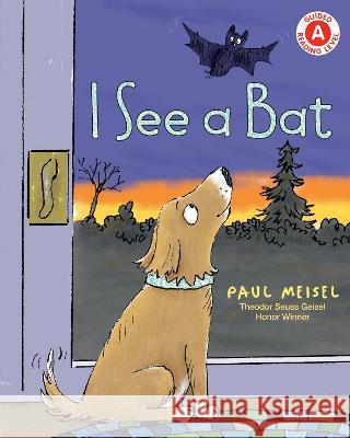 I See a Bat Paul Meisel 9780823452651