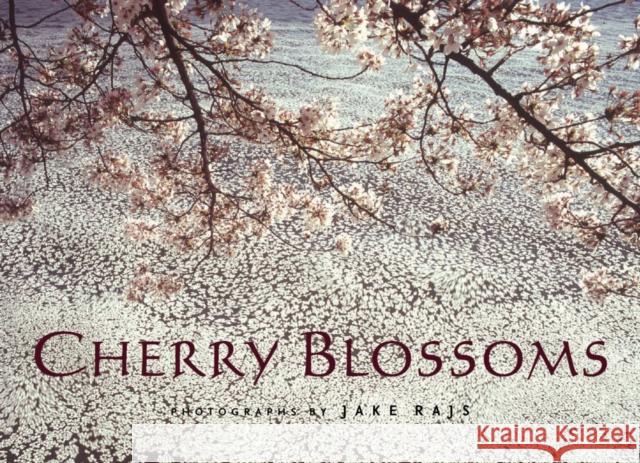 Cherry Blossoms Jake Rajs 9780847827947 Rizzoli Publications