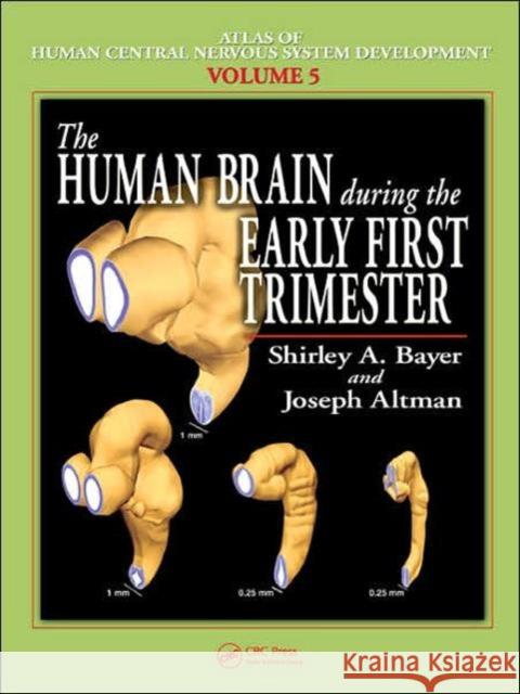 The Human Brain During the Early First Trimester Bayer A. Bayer Shirley A. Bayer Joseph Altman 9780849314247 CRC