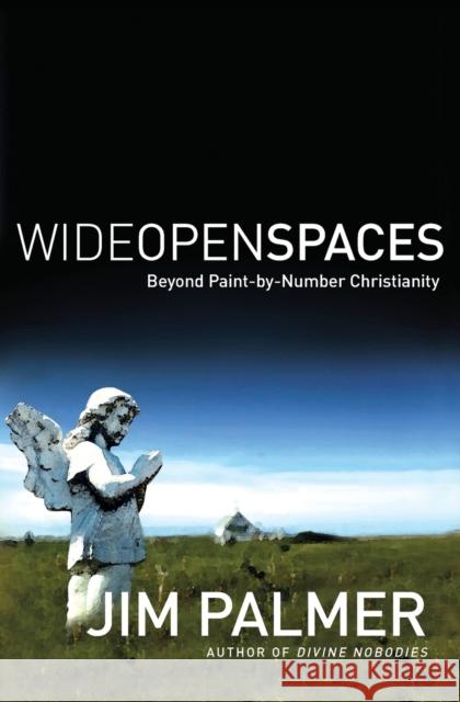Wide Open Spaces: Beyond Paint-By-Number Christianity Jim Palmer 9780849913990