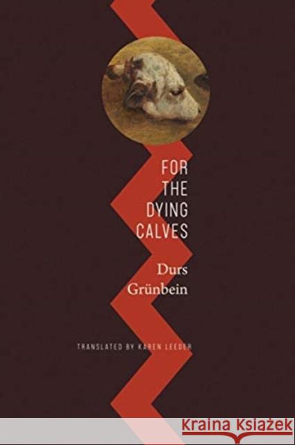 For the Dying Calves: Beyond Literature: Oxford Lectures Gr Karen Leeder 9780857429544
