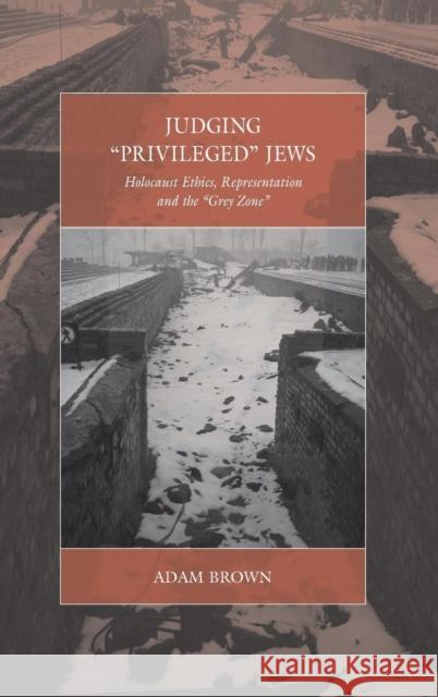Judging 'Privileged' Jews: Holocaust Ethics, Representation, and the 'Grey Zone' Brown, Adam 9780857459916