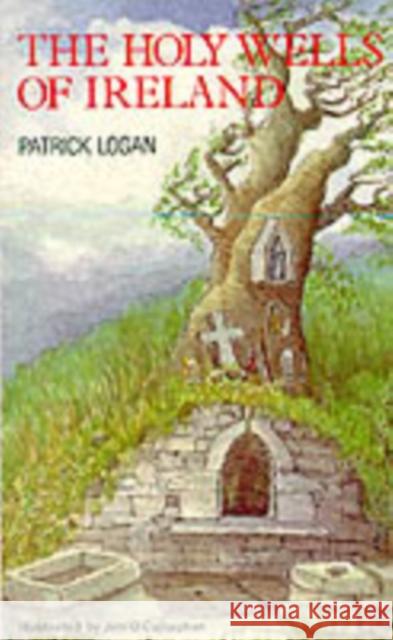 The Holy Wells of Ireland Patrick Logan 9780861400461