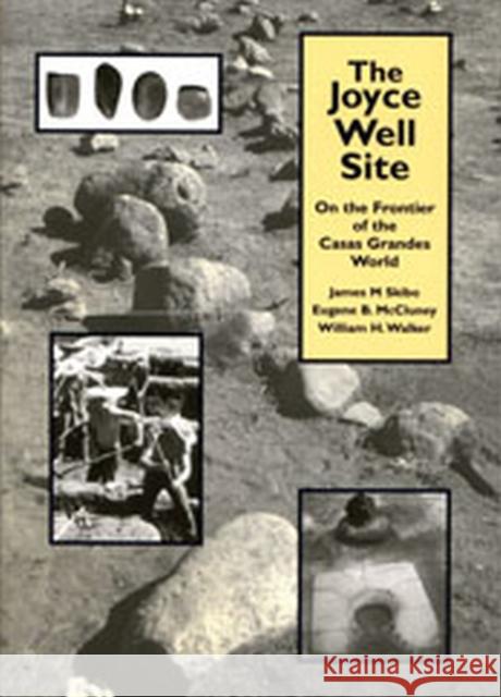 The Joyce Well Site : On the Frontier of the Casas Grandes World James M. Skibo Eugene McCluney William Walker 9780874807288